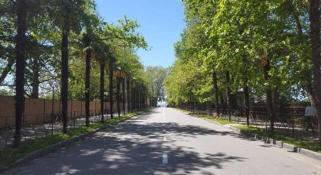 Гостиница Анита Адлер-34